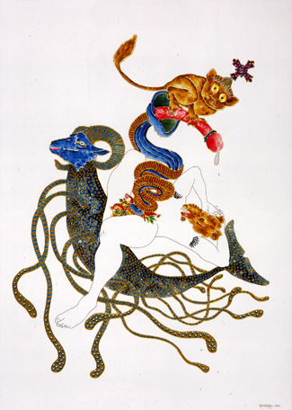 Shaw image