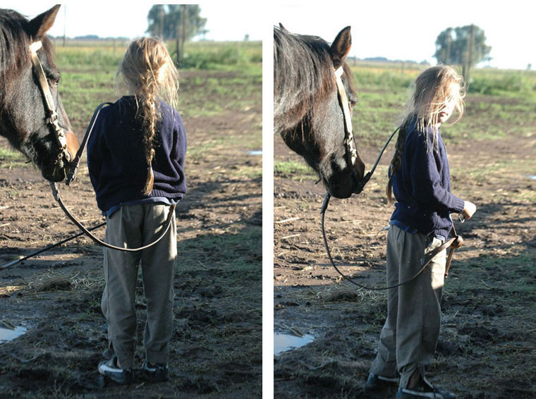 violeta image