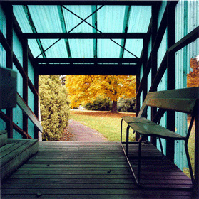 Wilson photo